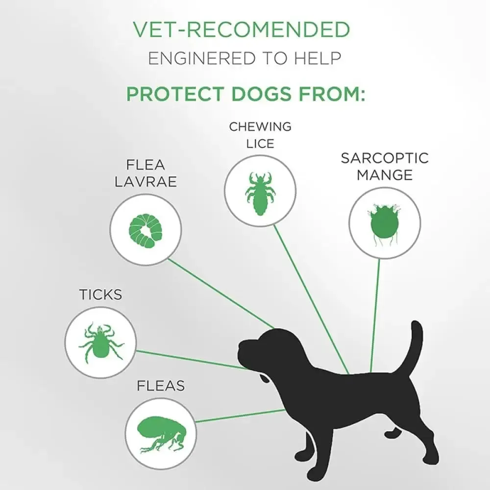8 Month Protection Natural Hypoallergenic Waterproof Safe Dog Flea and Tick Collar for Dogs