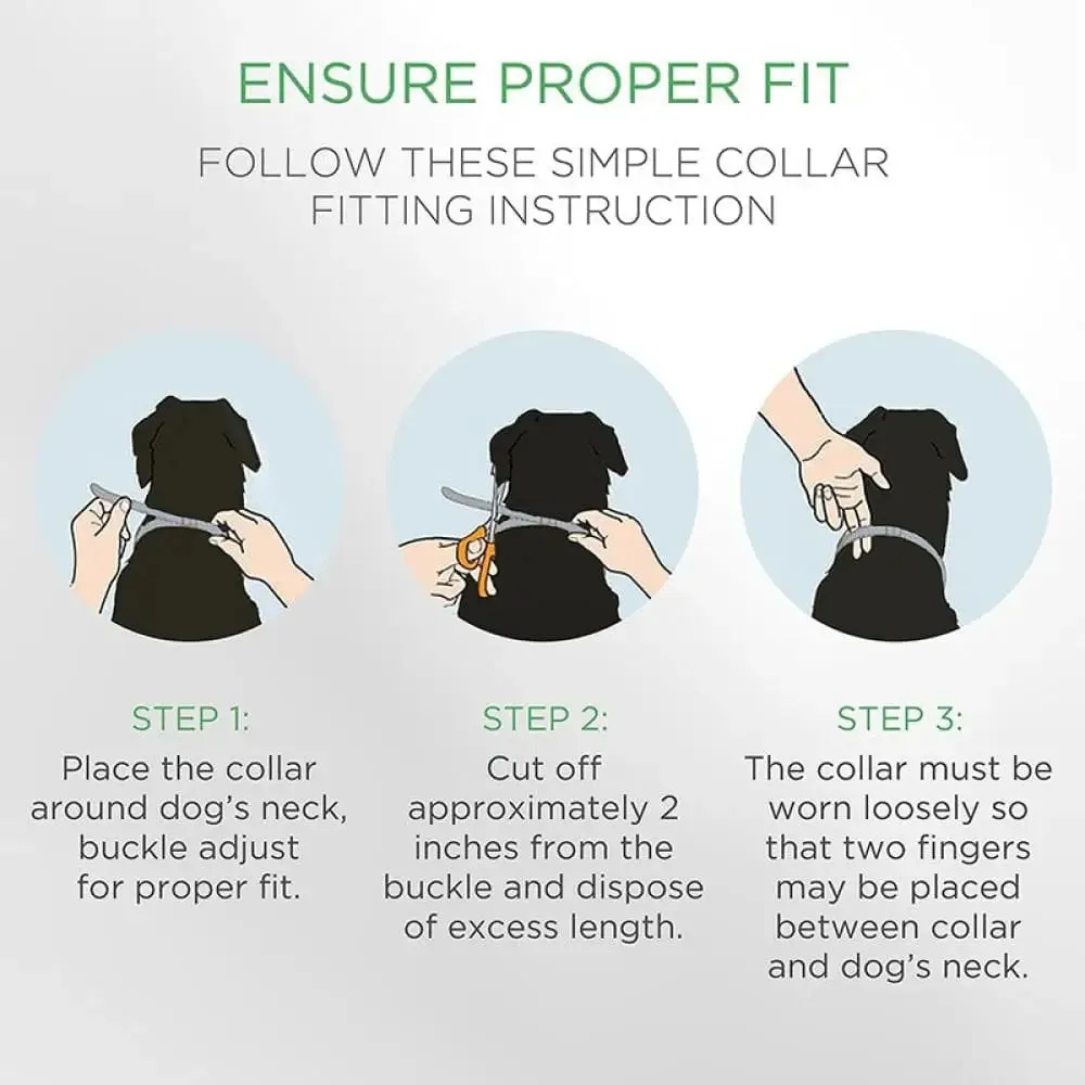 8 Month Protection Natural Hypoallergenic Waterproof Safe Dog Flea and Tick Collar for Dogs