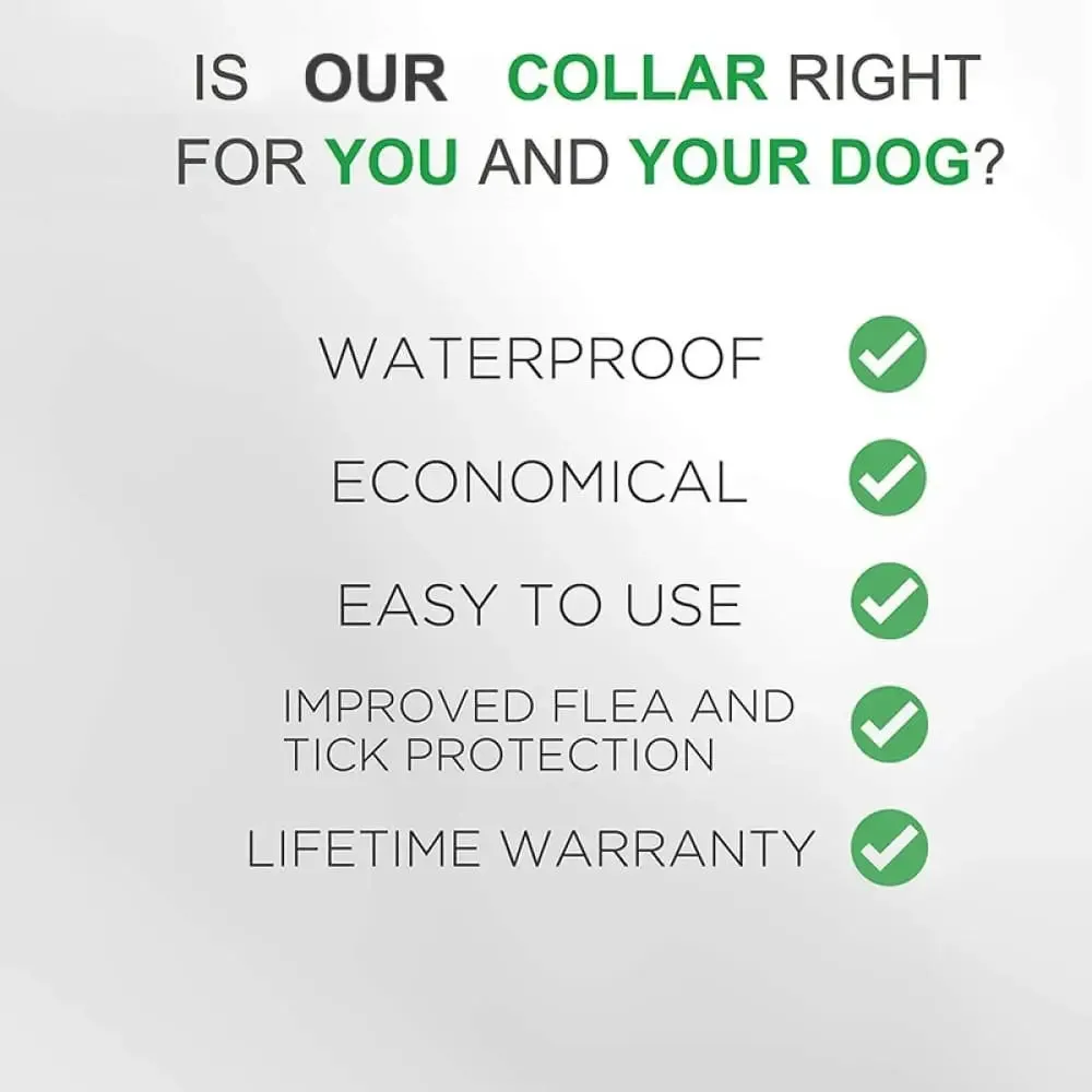 8 Month Protection Natural Hypoallergenic Waterproof Safe Dog Flea and Tick Collar for Dogs