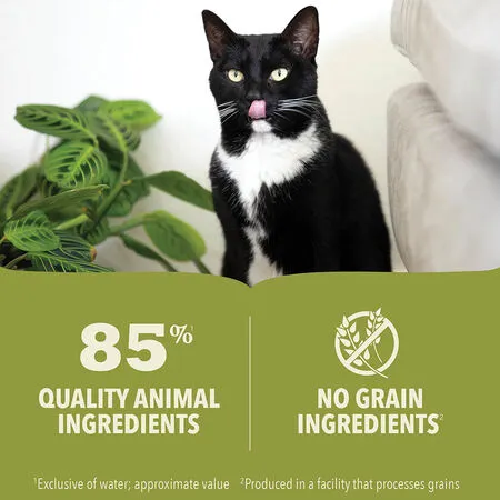 ACANA Premium Pate Salmon & Chicken Recipe Canned Cat Food