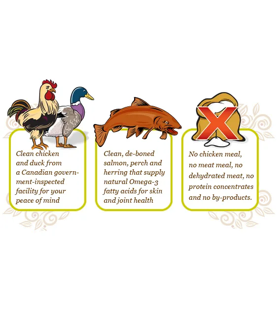 Carna4 Quick Baked Air Dried Dry Dog Food (Duck)
