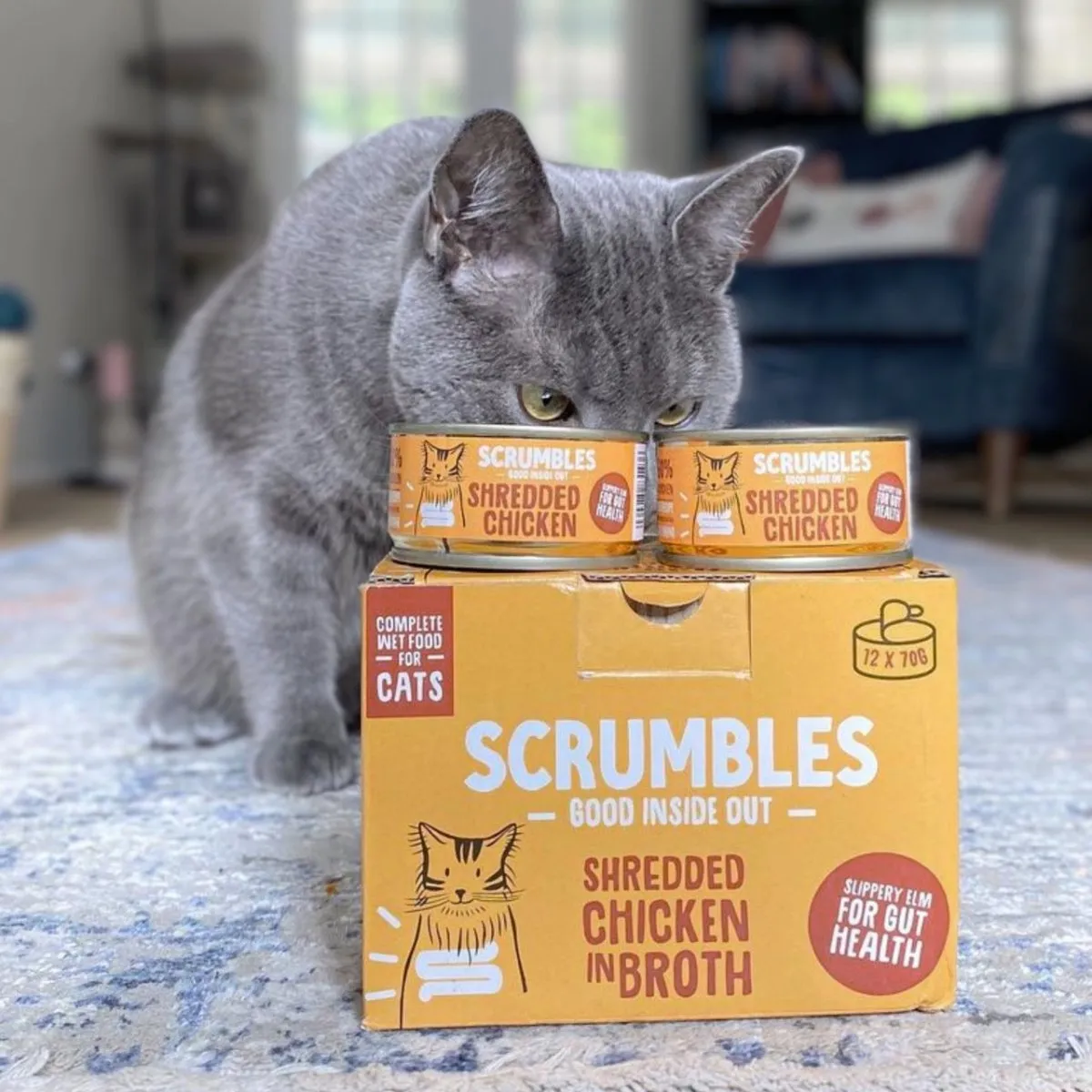 Chicken Shredded Cat Food In Broth