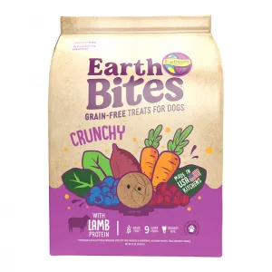 Earthborn GF Earthbites Lamb 2lb