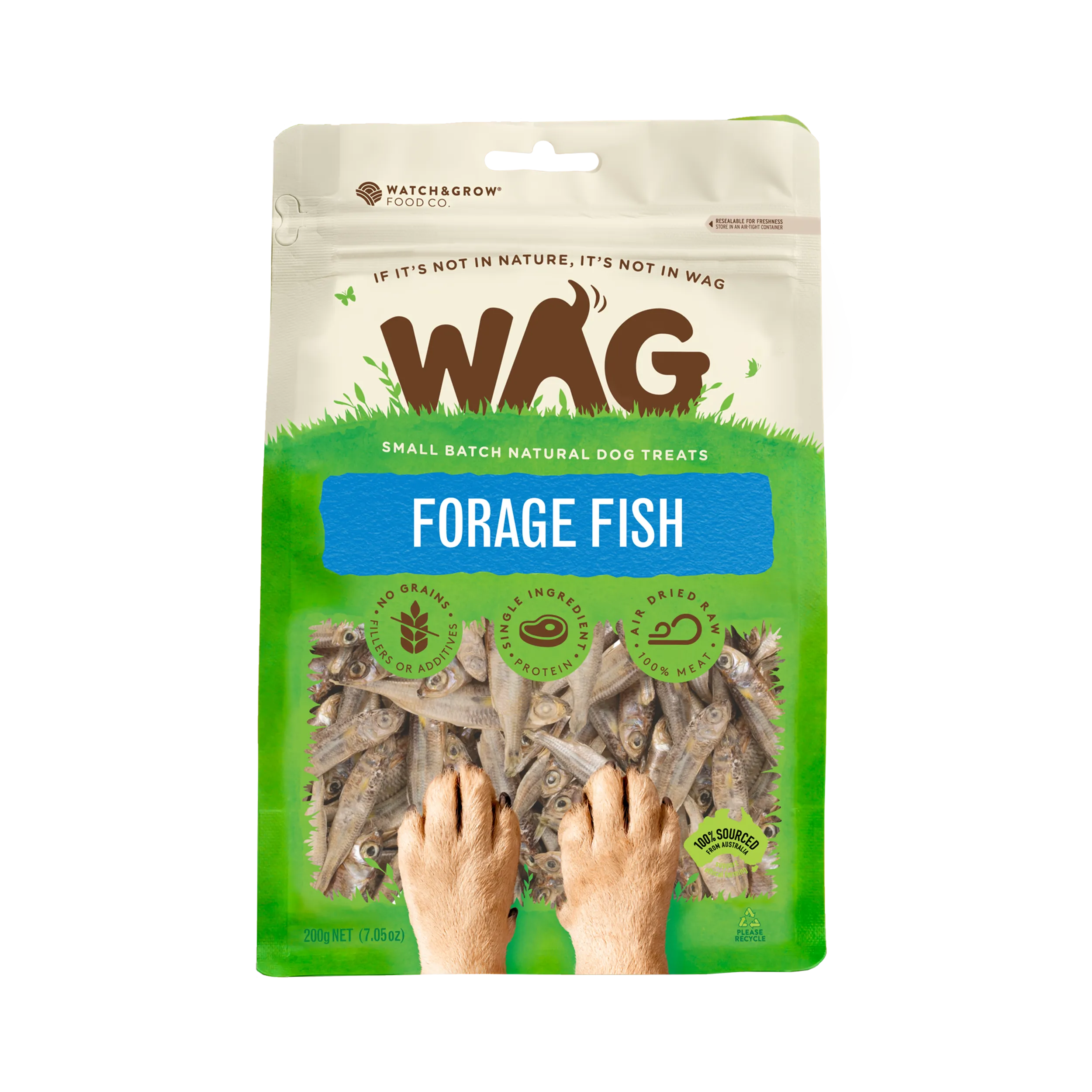 Forage Fish