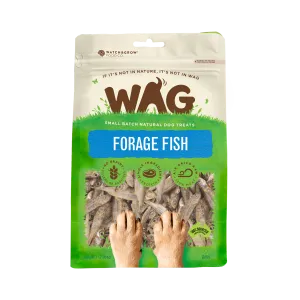 Forage Fish