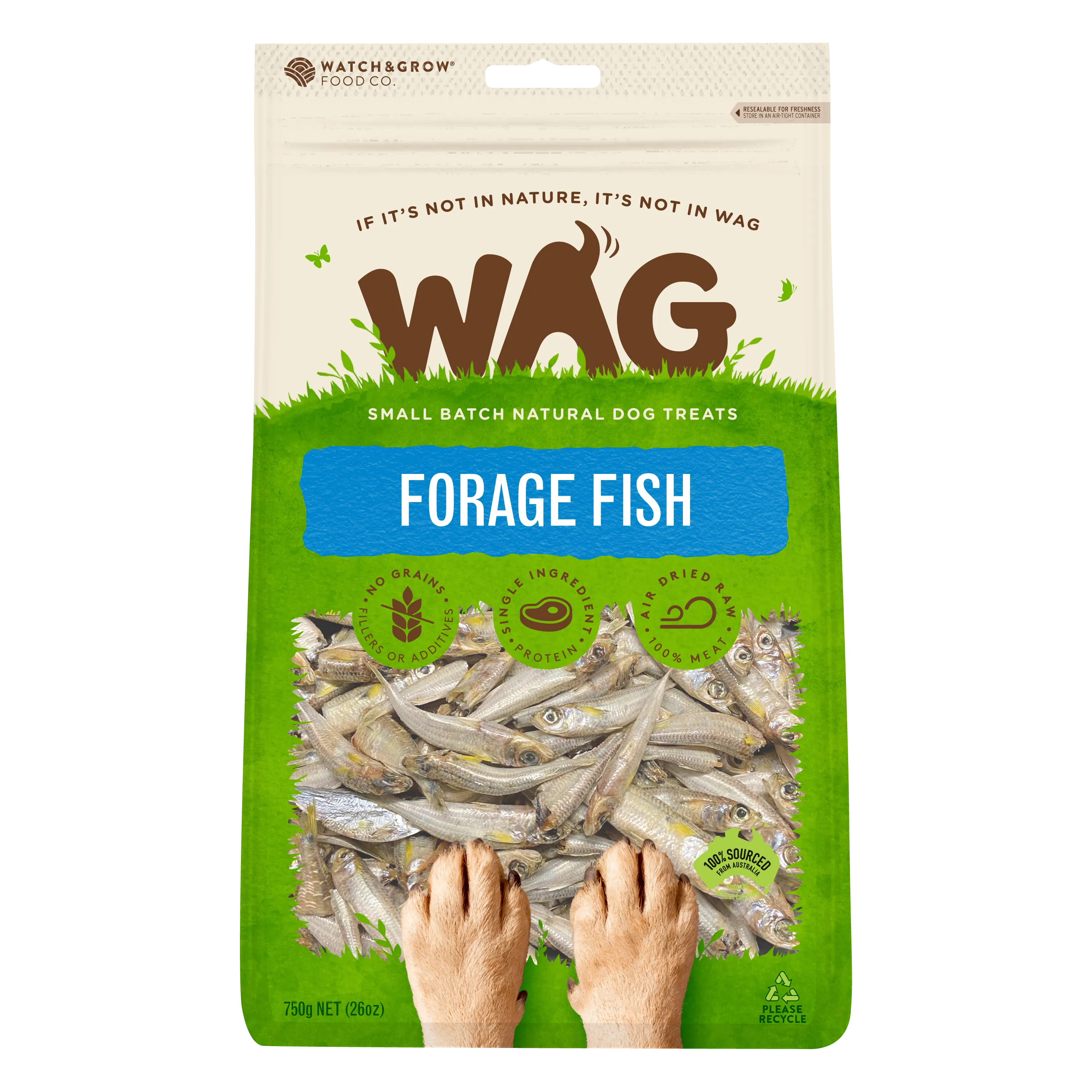 Forage Fish