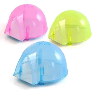 Funny Summer Hamster Cages