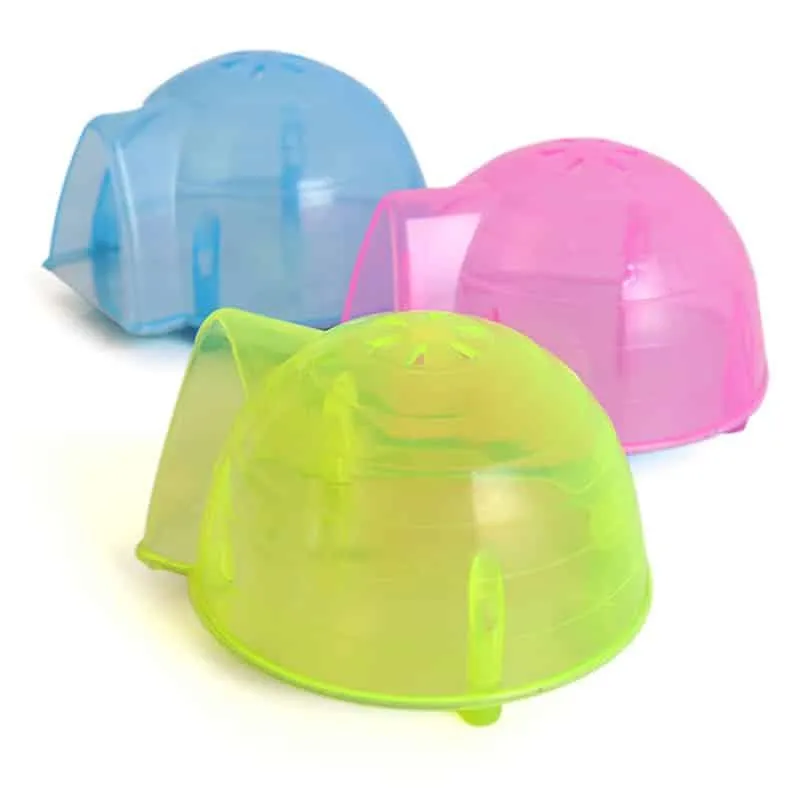 Funny Summer Hamster Cages