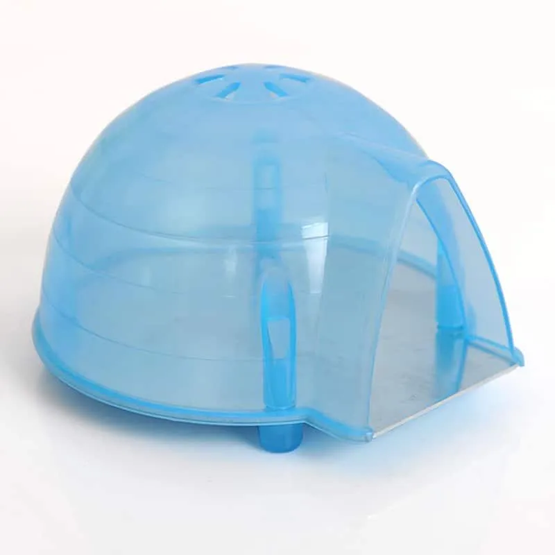 Funny Summer Hamster Cages