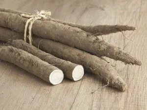 Herbal - Burdock Root Tincture - Pet Grocer