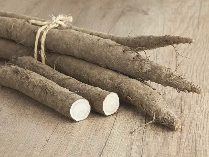 Herbal - Burdock Root Tincture - Pet Grocer