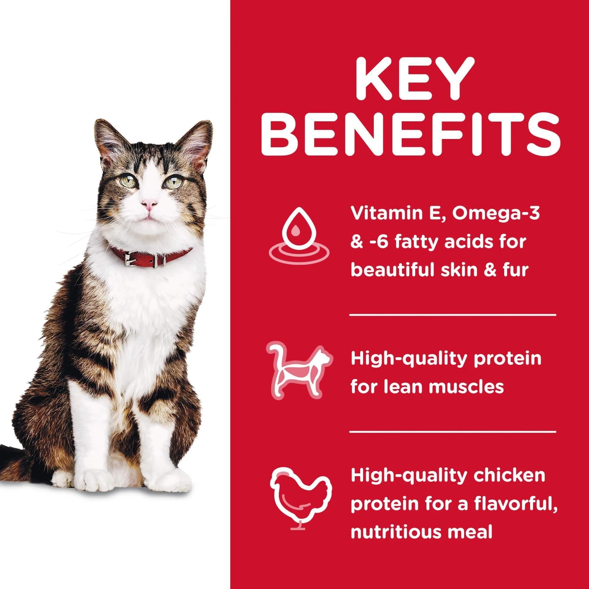 Hill's Science Diet Hairball Control Adult Chicken Dry Cat Food