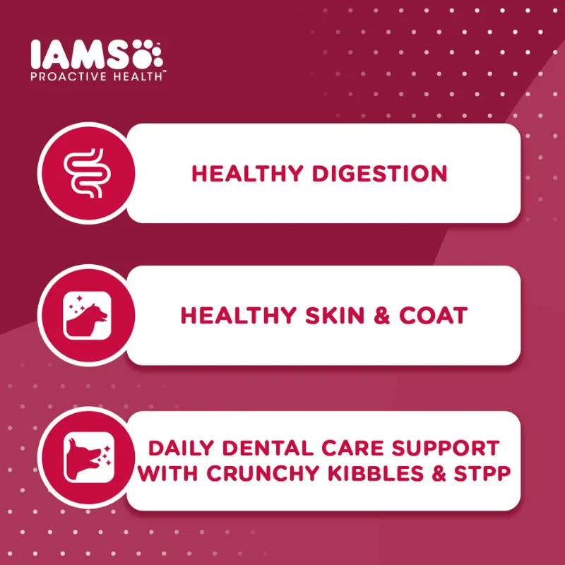 Iams Dog Adult Small Breed Chicken