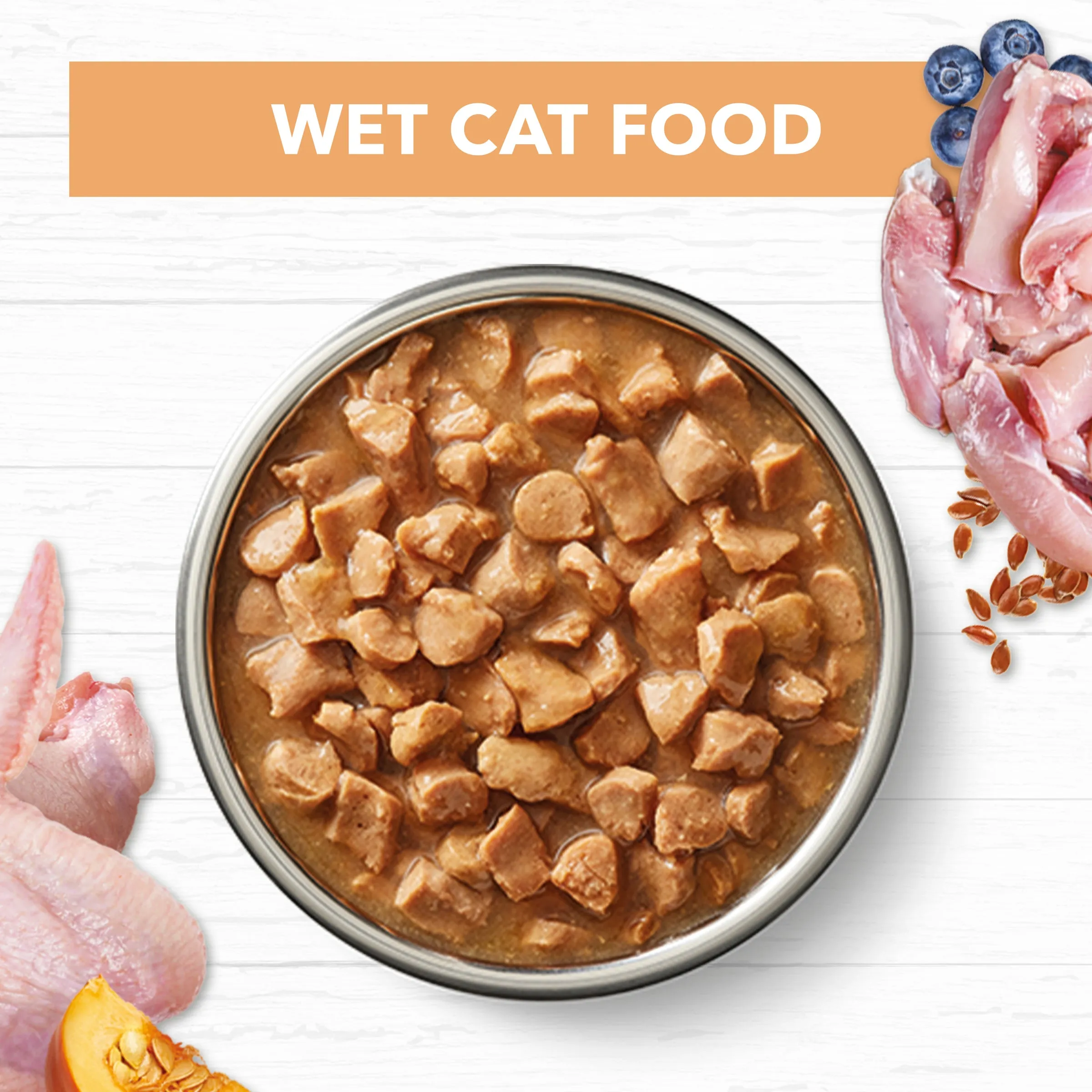Ivory Coat Grain Free Chicken in Gravy Kitten Wet Food 85g^^^