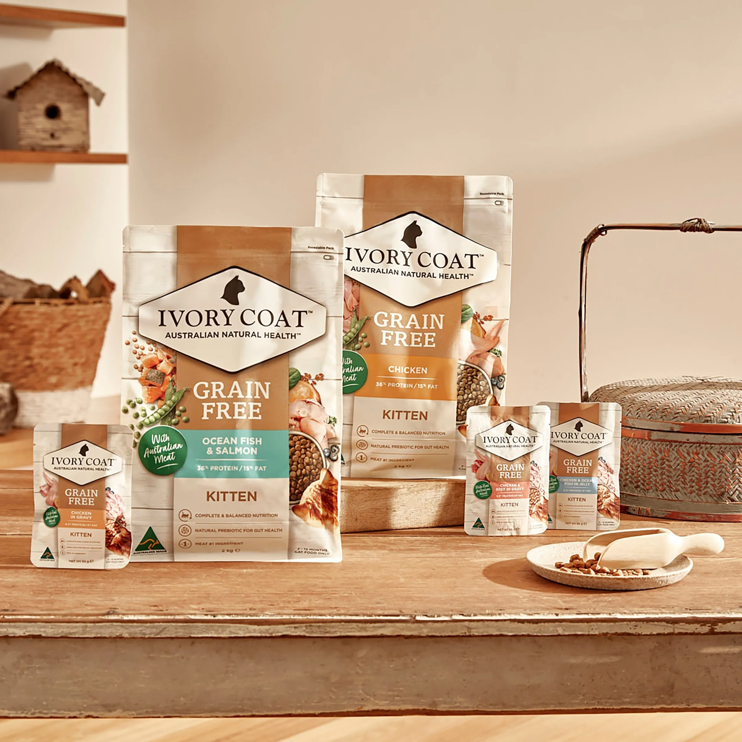 Ivory Coat Grain Free Chicken in Gravy Kitten Wet Food 85g^^^