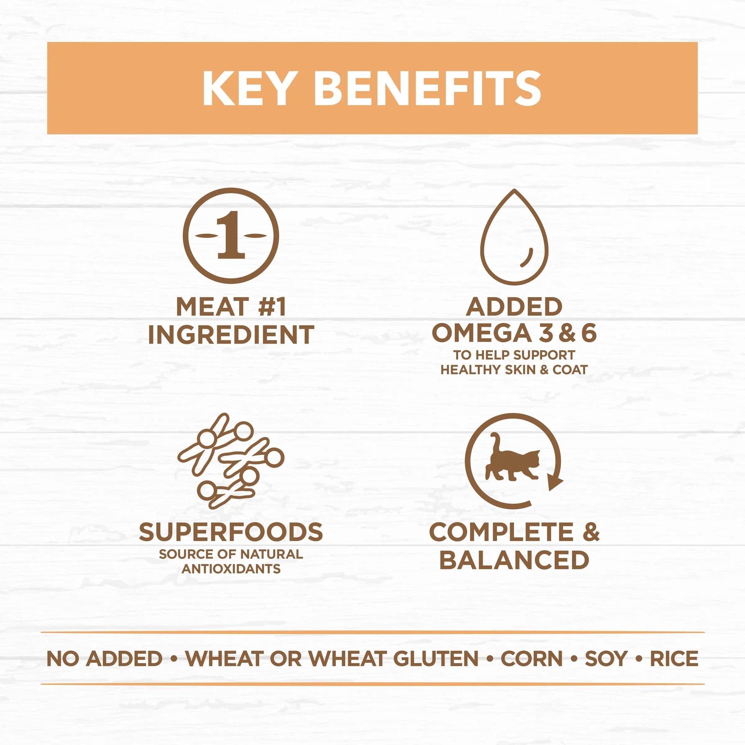 Ivory Coat Grain Free Chicken in Gravy Kitten Wet Food 85g^^^