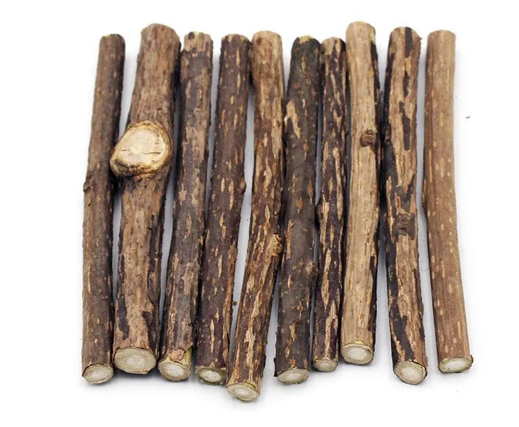 Natural Catnip Sticks for Cleaning Teeth