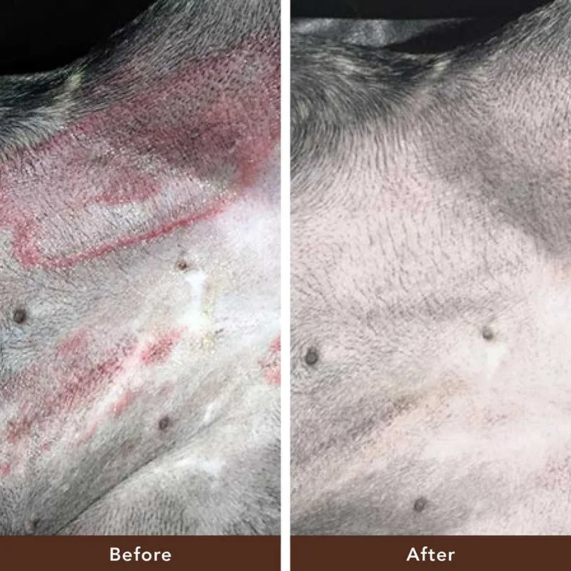 Natural Dog Company Skin Soother for Dogs