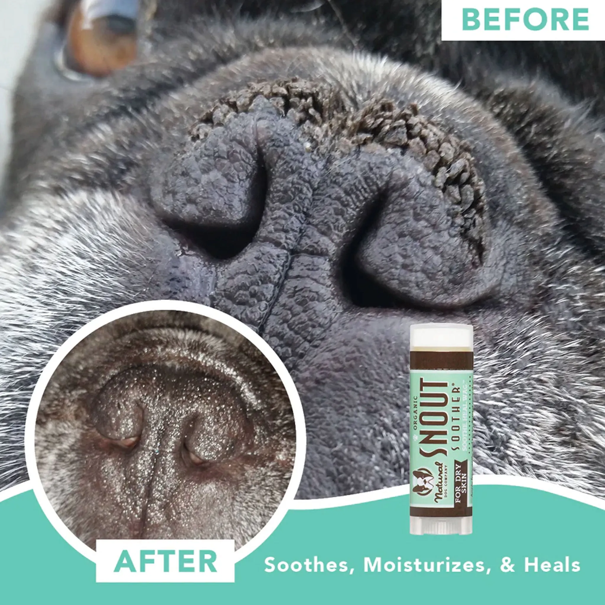 Natural Dog Company Snout Soother Stick