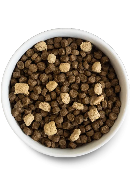 Open Farm RAWMIX Wild Ocean Recipe with Ancient Grains for Dogs