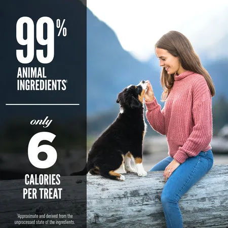 Orijen Beef Recipe Dog Treat 92 gr