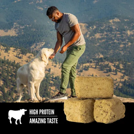Orijen Beef Recipe Dog Treat 92 gr