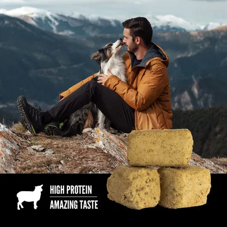 Orijen Romney Lamb Dog Treat 92g