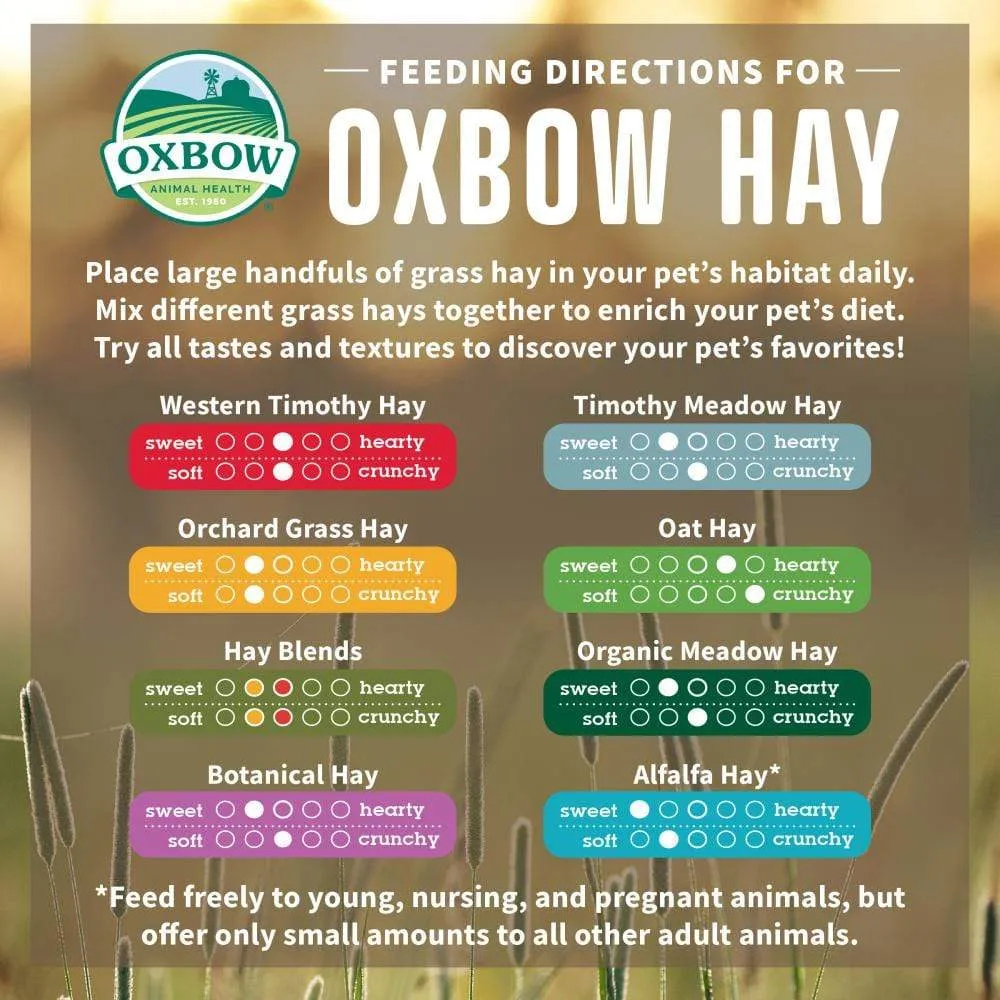 Oxbow Animal Health All Natural Orchard Grass Hay Grass Hay for Chinchillas Rabbits Guinea Pigs Hamsters & Gerbils