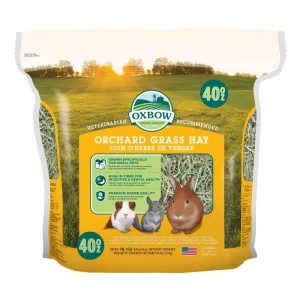 Oxbow Animal Health All Natural Orchard Grass Hay Grass Hay for Chinchillas Rabbits Guinea Pigs Hamsters & Gerbils