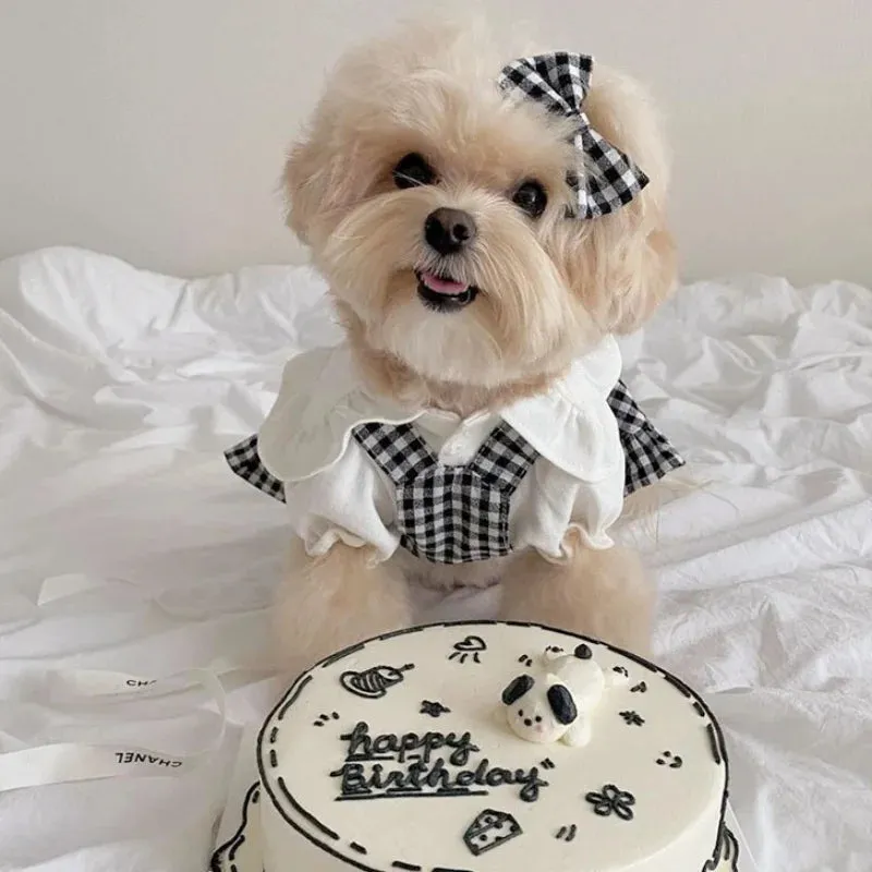 Pet Dress for Dog Small