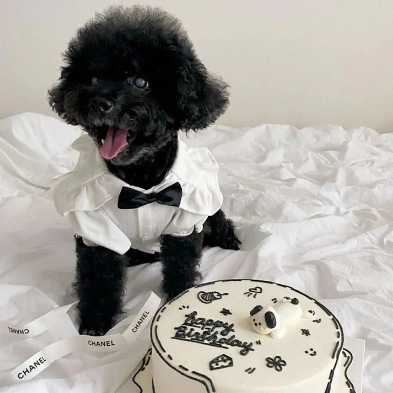 Pet Dress for Dog Small