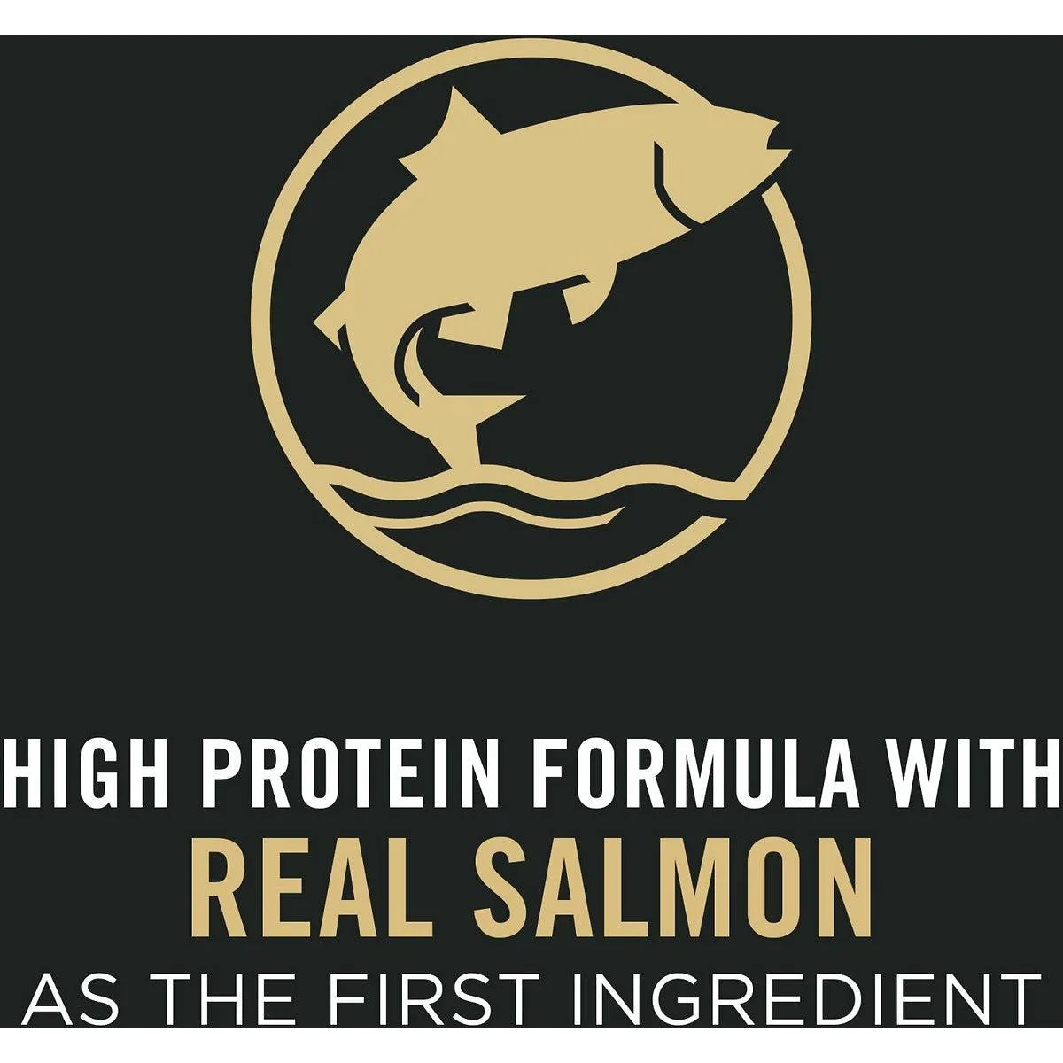Purina Pro Plan Sensitive Skin & Stomach Salmon & Rice Formula Puppy Food