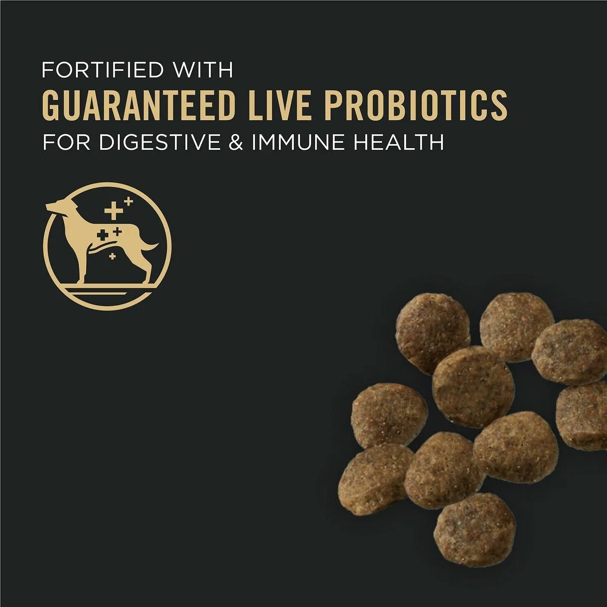 Purina Pro Plan Sensitive Skin & Stomach Salmon & Rice Formula Puppy Food