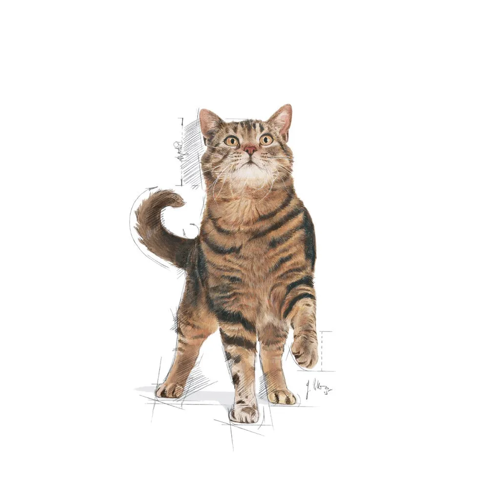 Royal Canin Appetite Control Sterilised