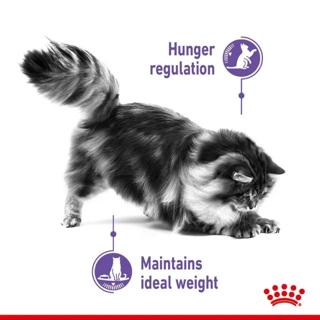 Royal Canin Appetite Control Sterilised