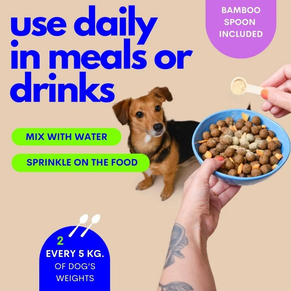 The Good Boy - Multivitamin
